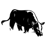 pierson-icon