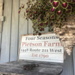four seasons