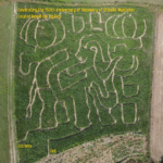 Corn Maze 2022