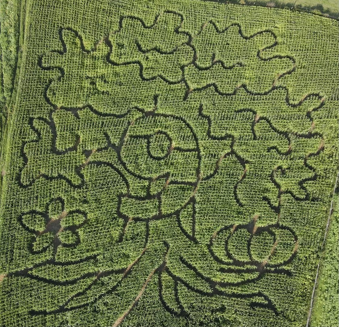 2024 maze