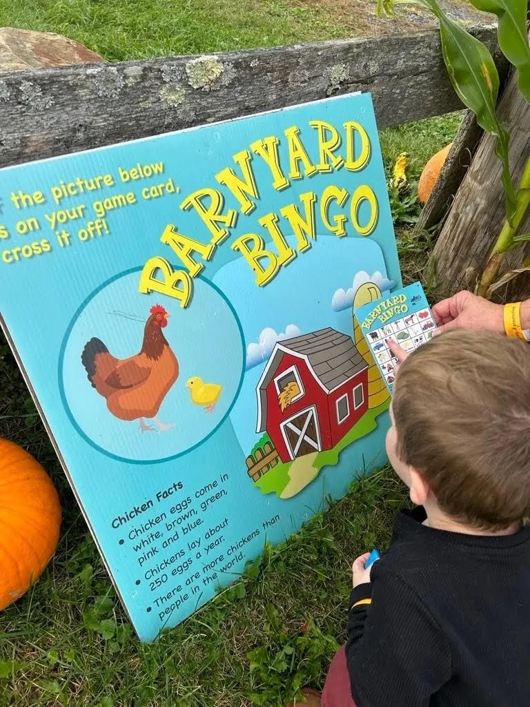 A young visitor checks a Barnyard Bingo game card against the bingo sign by the fence