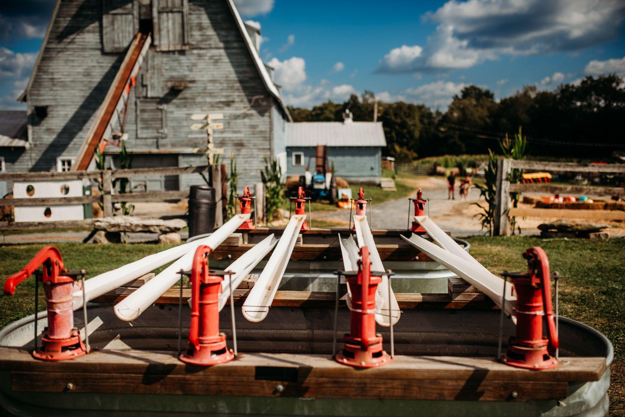 The rubber duck race troughs and hand pumps in front of the barn