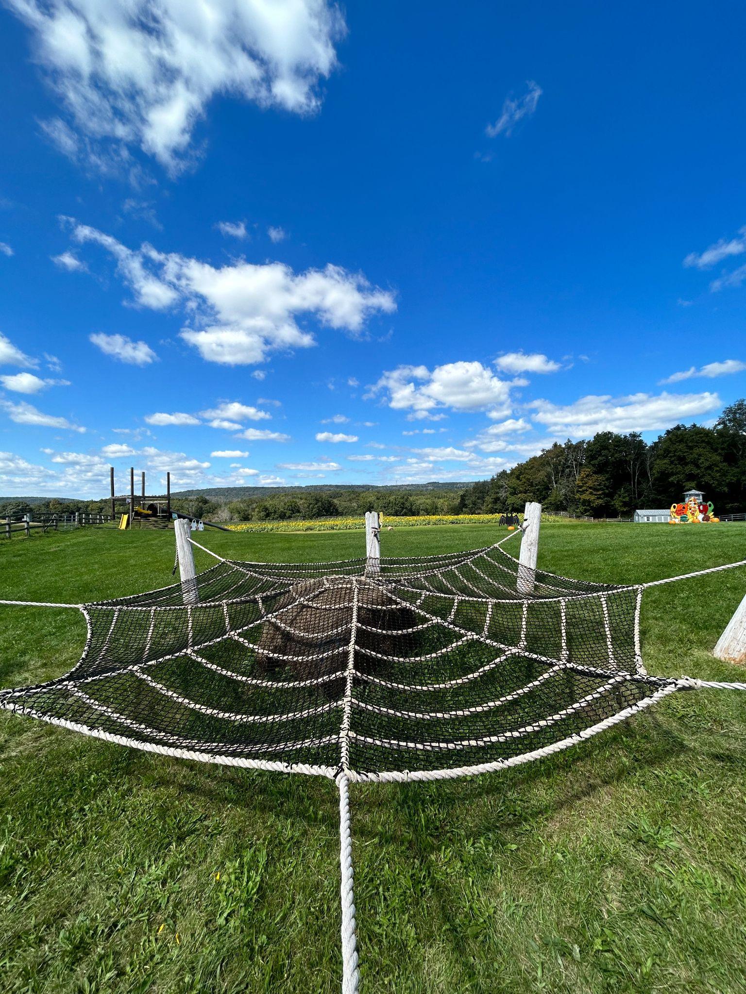 The rope spider web climb under a blue sky